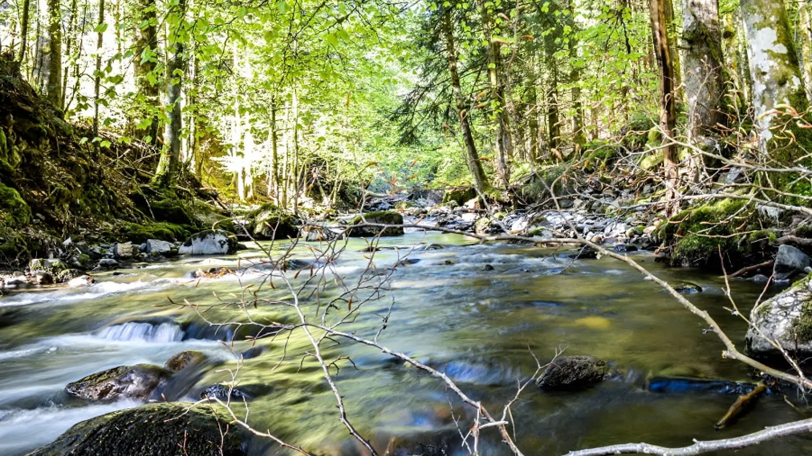 Gorges de l'Alagnon